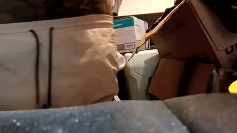 Powerhousecup online show from December 5, 4:28 pm