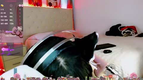 Moon online show from October 24, 8:42 pm