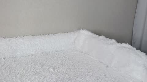 Snapshot of eva_varnerr chatting on February 3, 1:19 pm eva varnerr online show from February 3, 1:19 pm