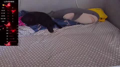 Eva online show from February 20, 12:57 pm