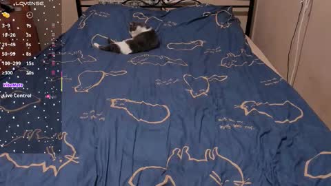 Eva online show from March 7, 2:06 pm