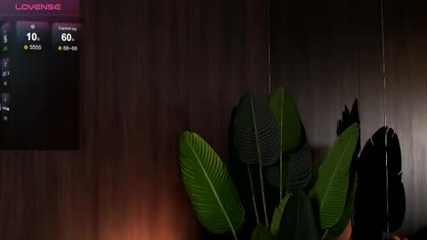 Eva online show from February 28, 7:23 am