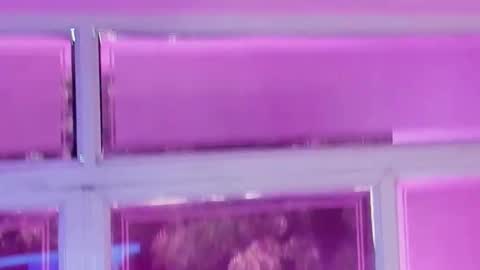 Evangelyne online show from September 17, 5:49 pm