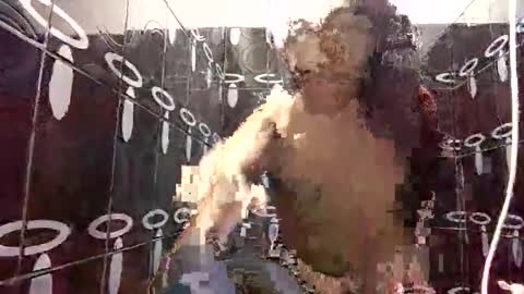 eveee228 online show from November 2, 4:07 pm