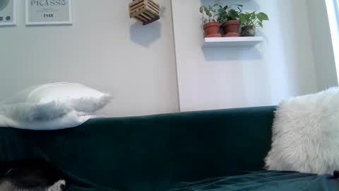 Badblondebunny online show from September 22, 8:57 pm