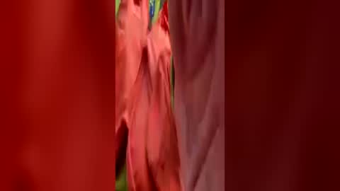exhibapoil online show from July 2, 6:29 am