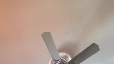 Exoticlexxii online show from April 6, 1:01 pm