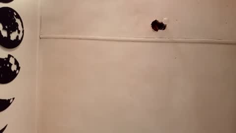 ezequielali online show from November 2, 8:53 pm