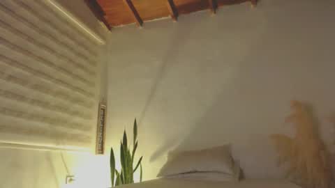 -  A N D E R online show from January 8, 12:28 am