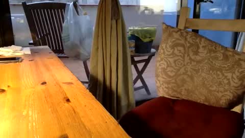 Fabro online show from April 12, 5:50 pm