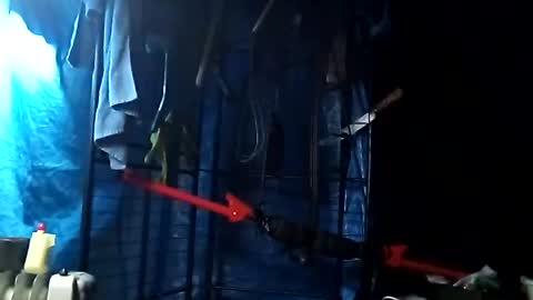 fallguyb1875150 online show from October 20, 2:55 pm