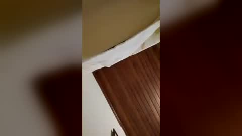felipebh385495 online show from June 29, 4:20 am