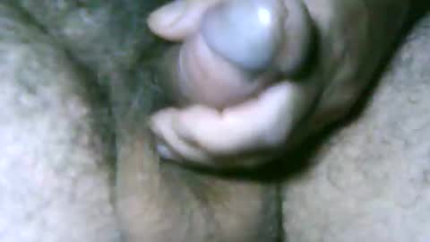 fer_2197 online show from April 16, 11:32 am