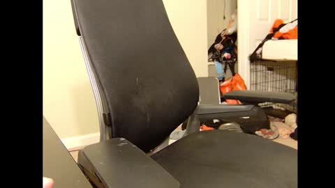 FE fee online show from February 7, 1:41 am