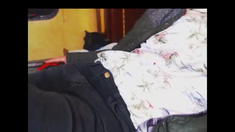 ferra_testarossa online show from September 15, 3:41 am