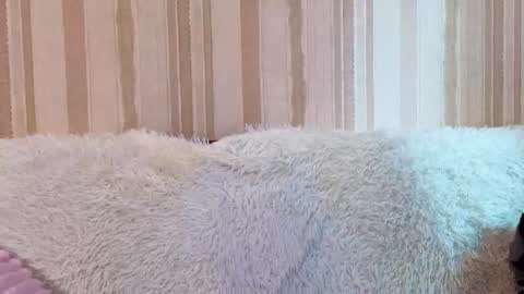 fieryy_foxy online show from July 25, 8:01 am