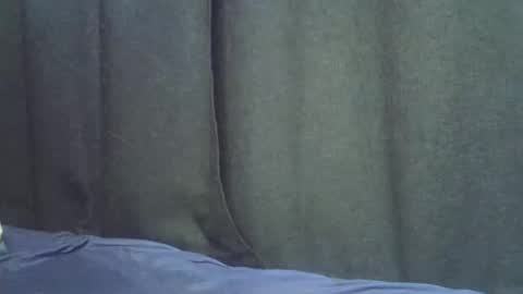 fine_ass2 online show from March 6, 8:13 am