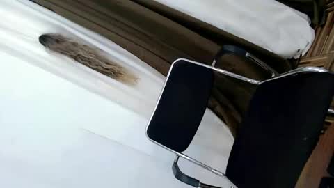 Snapshot of finest_jasminex chatting on October 21, 12:27 am Jasmine online show from October 21, 12:27 am