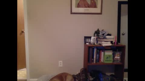 FitBit online show from March 9, 9:46 am