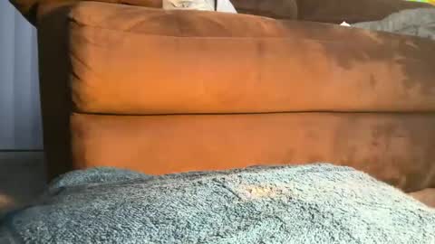 floridabbcfun online show from February 28, 2:09 am