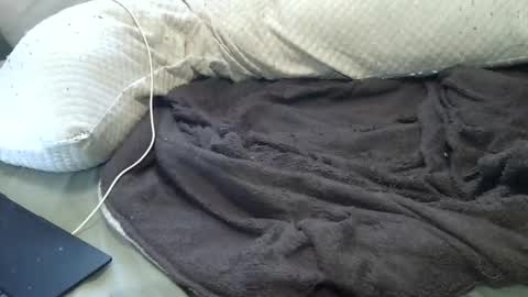 flufferbutt2 online show from April 11, 12:48 am