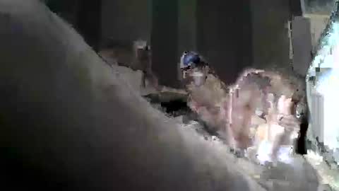 fofodi online show from September 18, 6:28 am