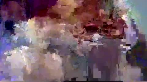 forest133 online show from December 12, 7:59 pm