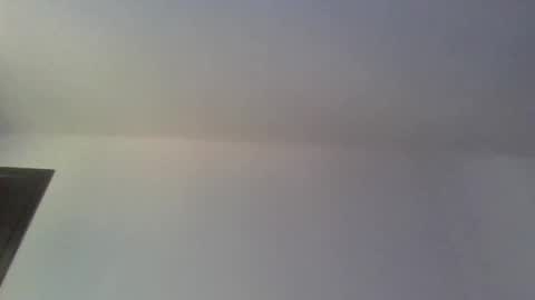 foxyfang online show from September 26, 2:03 pm