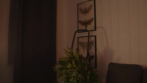 Diyana online show from September 30, 6:57 am