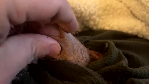 fredsbed405504 online show from December 2, 7:52 am