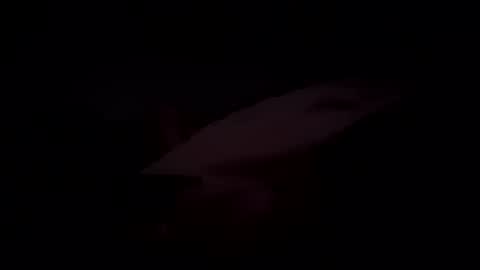 fstrtd666 online show from July 4, 5:44 am