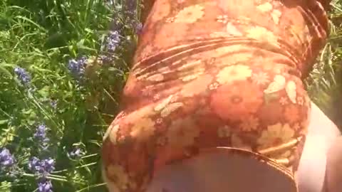 fuckmeharderdaddy371558 online show from May 3, 1:33 am