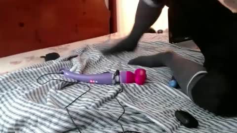 Funcock online show from December 14, 11:50 am