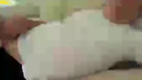 funnyhans online show from July 22, 8:05 am