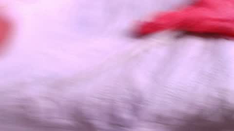 gabriela online show from November 29, 10:17 pm