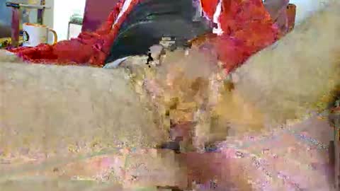 gary1111111 online show from December 19, 3:51 pm