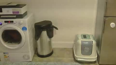 Gaz online show from January 16, 9:13 pm