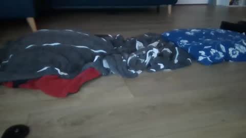 gaypuppychaste online show from December 5, 9:33 pm