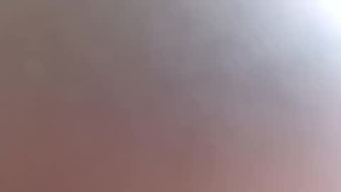 GeneOx online show from October 17, 1:59 pm