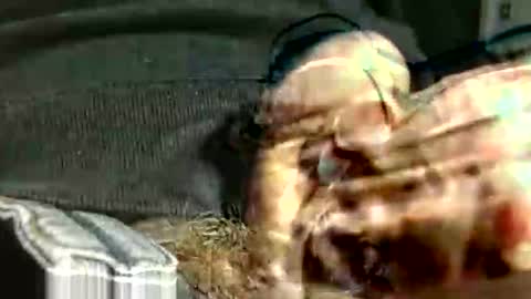 gettingstiff online show from October 1, 4:06 pm