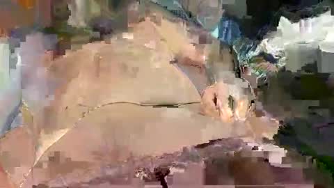 Dildo in ass super horny tonight online show from March 10, 2:27 am