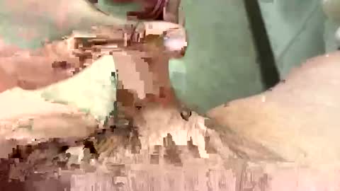 gifteddguy89 online show from February 17, 4:39 pm