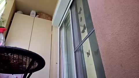 gigis111 online show from February 12, 11:29 am