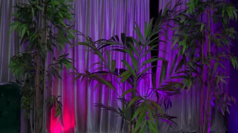 Gina online show from October 26, 8:19 pm