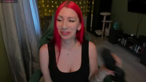 Meowww online show from April 19, 5:03 pm