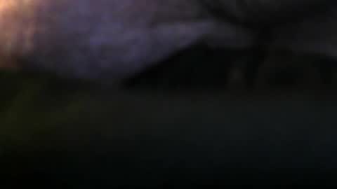 lovegirlscallme online show from February 13, 4:43 pm