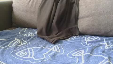 gldnboy85 online show from June 5, 12:21 pm