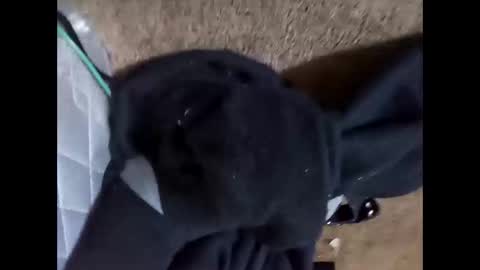 glizzy4u online show from October 31, 6:41 pm