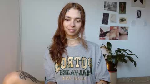 Alaska online show from December 19, 1:06 pm