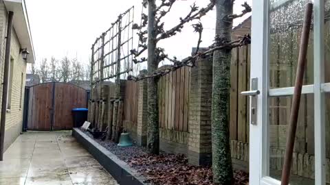   online show from December 23, 12:41 pm